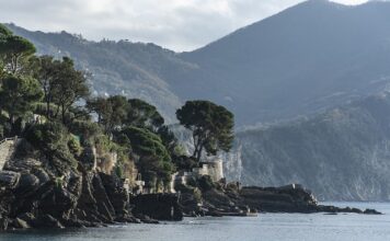 Ile kosztuje 1 kg wosku sojowego? Ile kosztuje 1 kg wosku sojowego?