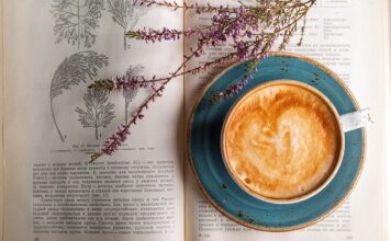 Co jest lepsze krem czy olejek?